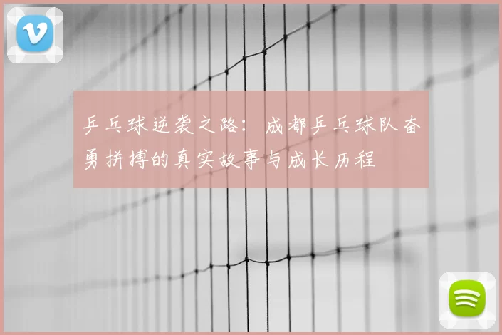 乒乓球逆袭之路:成都乒乓球队奋勇拼搏的真实故事与成长历程