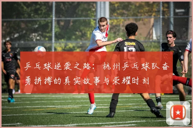 乒乓球逆袭之路:杭州乒乓球队奋勇拼搏的真实故事与荣耀时刻