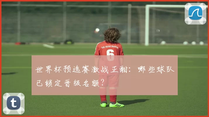 世界杯预选赛激战正酣:哪些球队已锁定晋级名额?