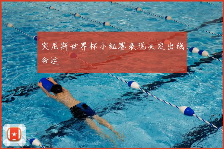 突尼斯世界杯小组赛表现决定出线命运