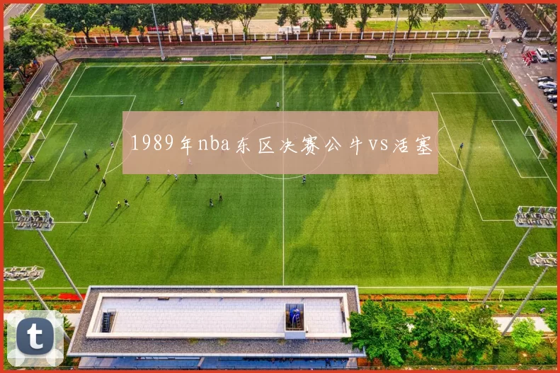 1989年nba东区决赛公牛vs活塞