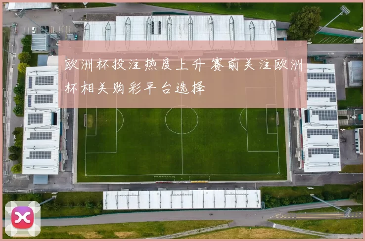 欧洲杯投注热度上升 赛前关注欧洲杯相关购彩平台选择