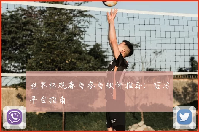 世界杯观赛与参与软件推荐:官方平台指南