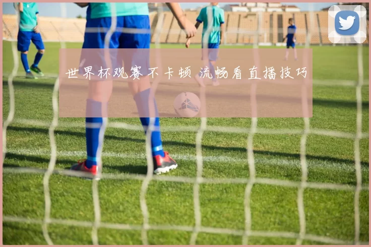 世界杯观赛不卡顿 流畅看直播技巧