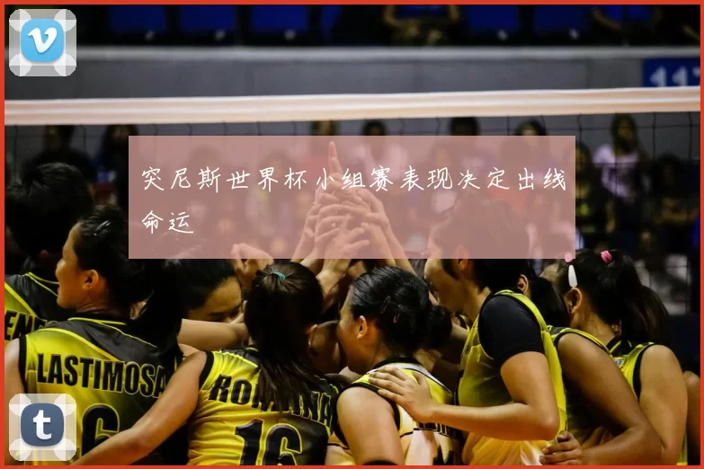 突尼斯世界杯小组赛表现决定出线命运
