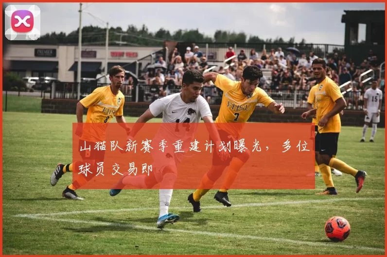 山猫队新赛季重建计划曝光，多位球员交易即